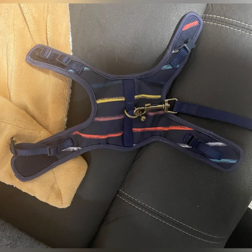 Kitten Harness